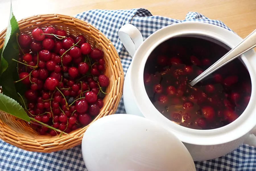 Dornröschens Beerensuppe