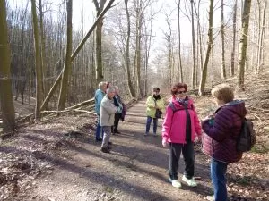 Wanderung im Schneegrund