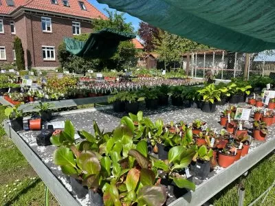 Mit dem Rad zum Biolandbetrieb LebensGrün der Lebenshilfe in Holtensen