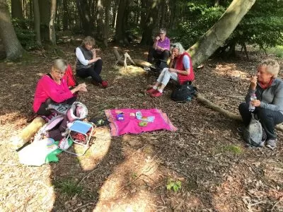 LandFrauen  tauchen mit all seinen Sinnen in die Atmosphäre des Waldes ein