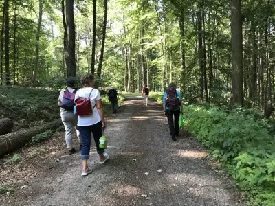 Waldbaden am Nachmittag