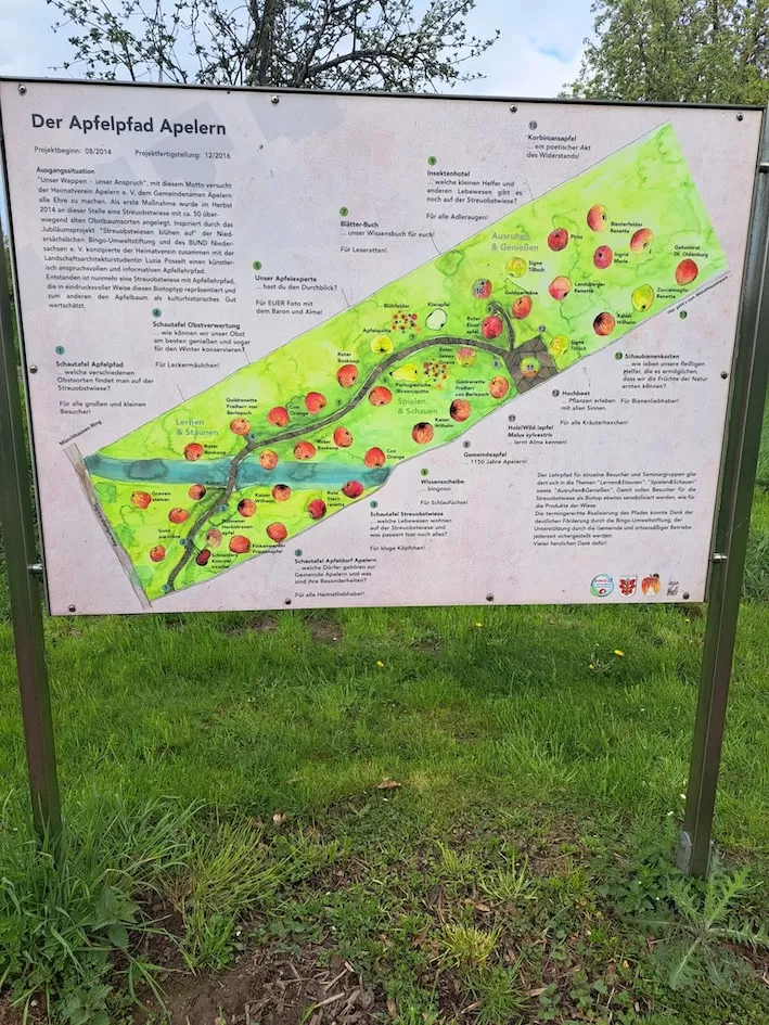 OV Rodenberg 2025 04 23 Wanderung Apfelpfad 478060b6 fbe9 4886 9da0 85419997c619 2
