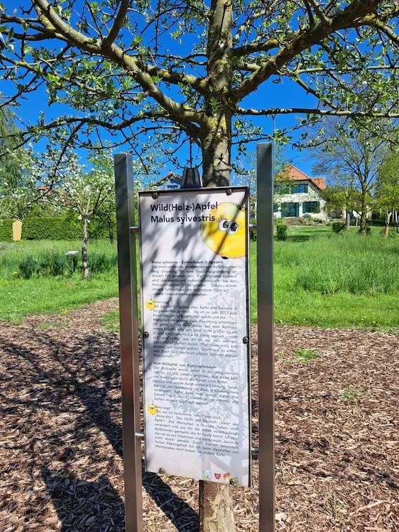OV Rodenberg 2025 04 23 Wanderung Apfelpfad 752aa28f fea9 4b9b a1c6 8b8b22c06fa6 2