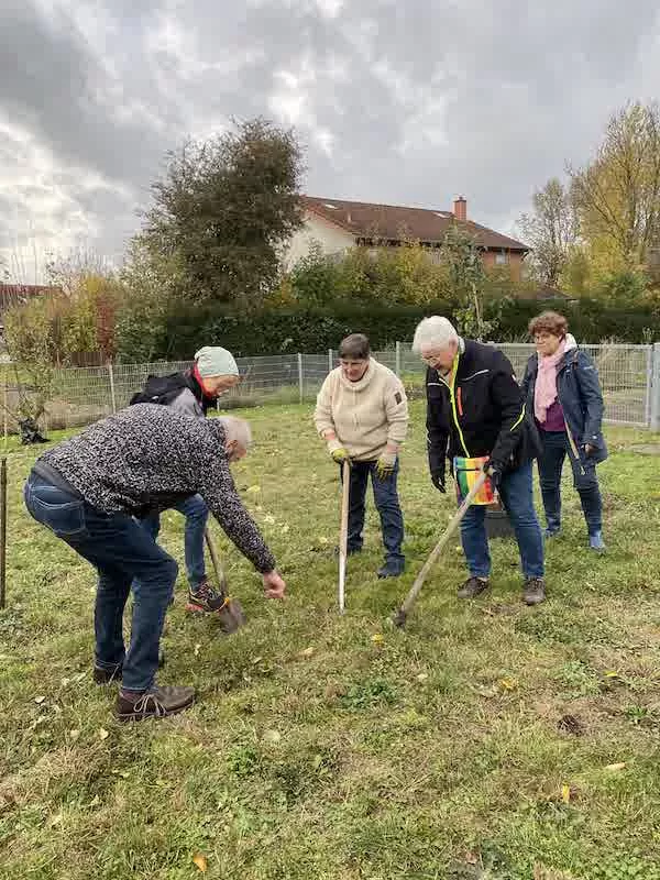 OV Rodenberg 2025 10 28 Baumpflanz ChallengeIMG 1492