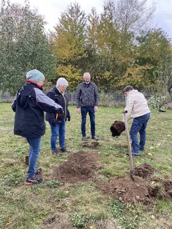 OV Rodenberg 2025 10 28 Baumpflanz ChallengeIMG 1495
