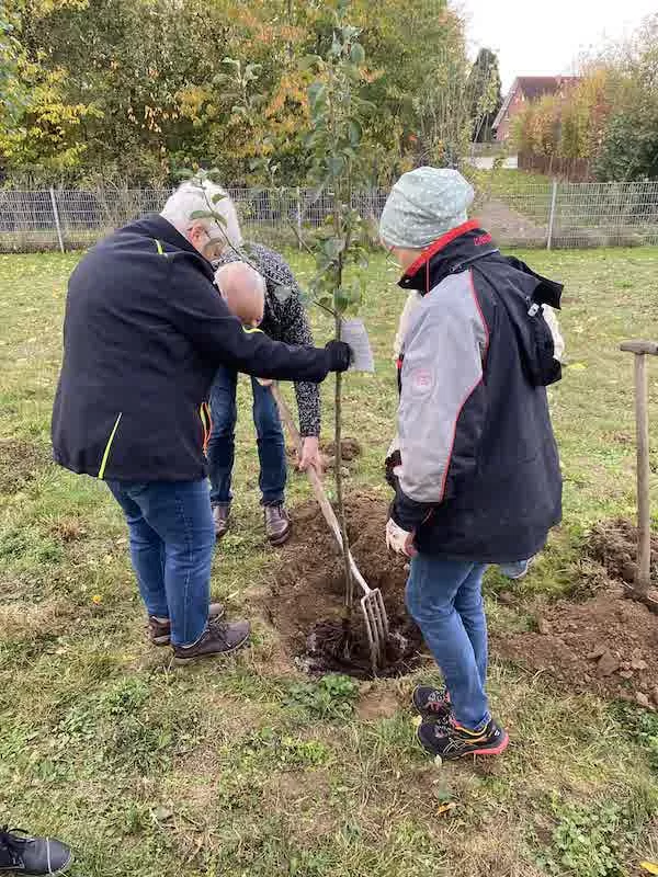 OV Rodenberg 2025 10 28 Baumpflanz ChallengeIMG 1496