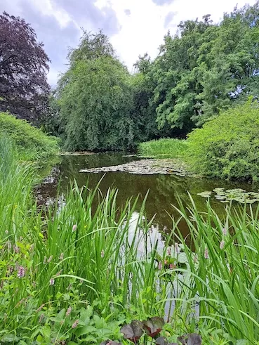 OV Rodenberg Berggarten 290524 1000053085