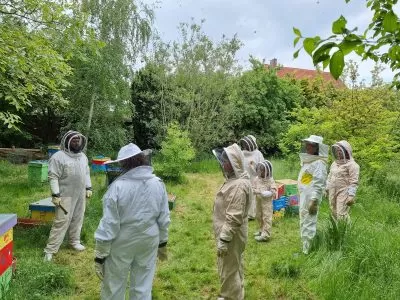 Bienen und Blumen