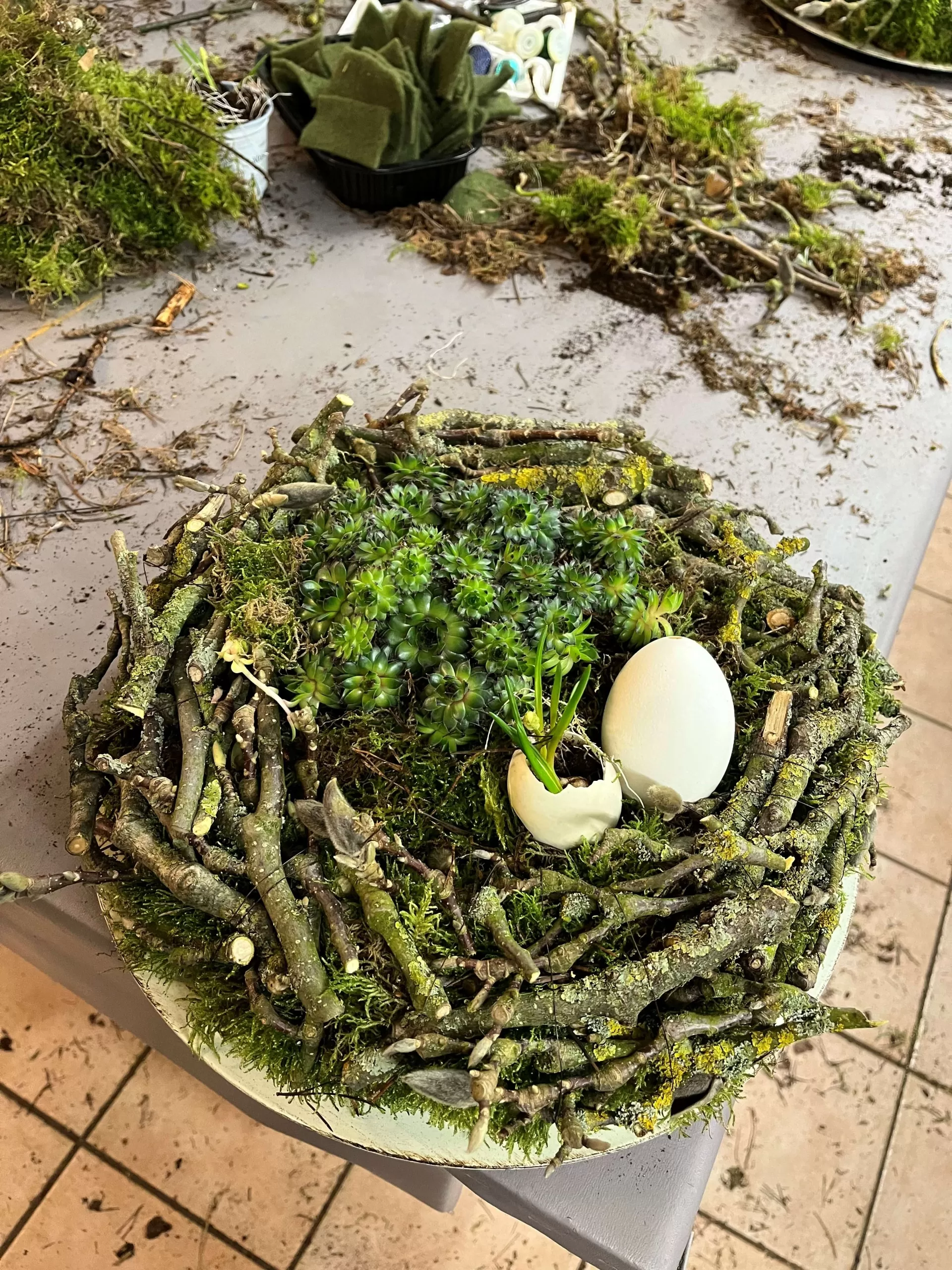 OV Sth2025 Fruehjahrsfloristk 2