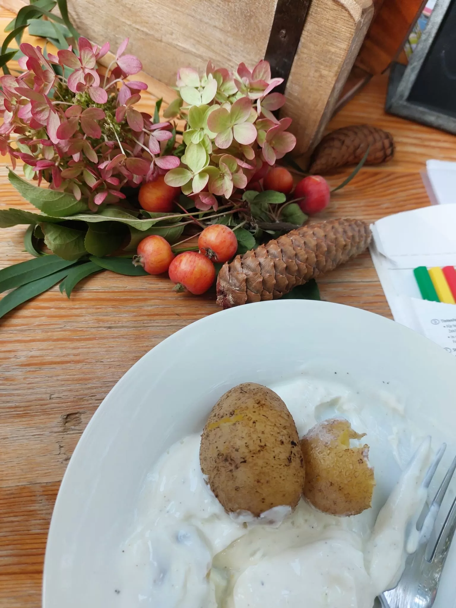 Kartoffelfest begeistert Groß und Klein