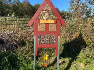 LandFrauen eröffnen ein Insektenhotel