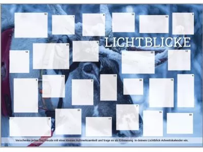 Lichtblicke