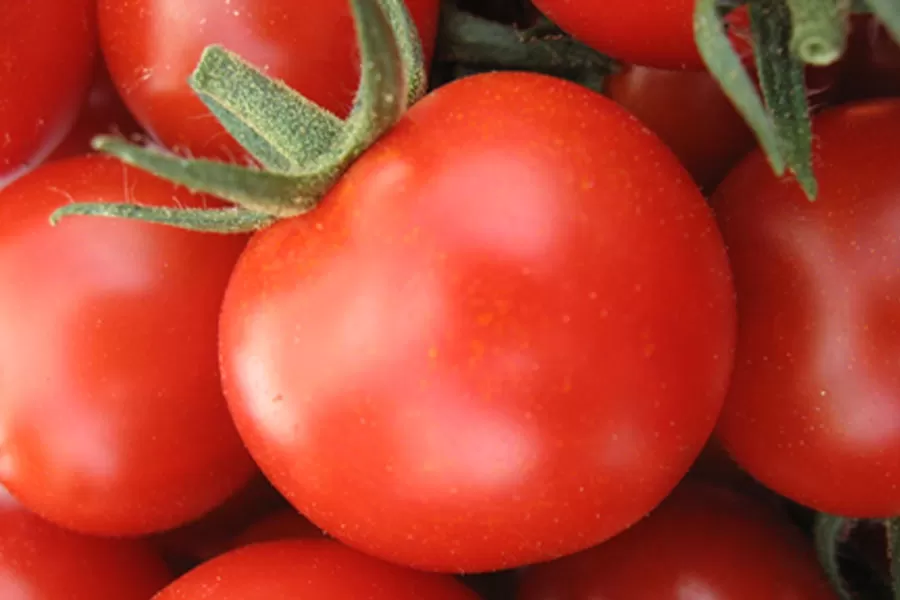 tomaten